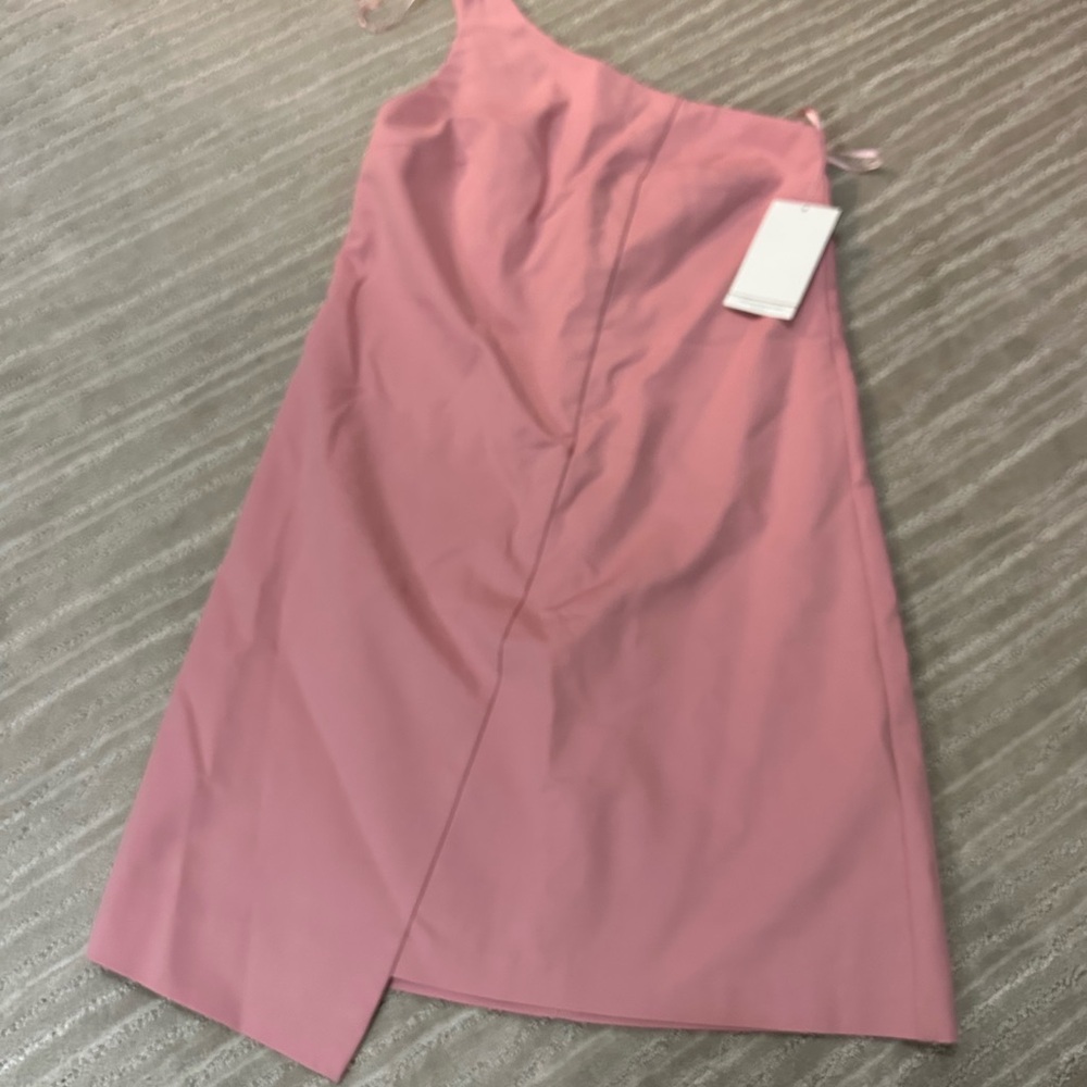 NWT Zara One-Shoulder Pink Dress